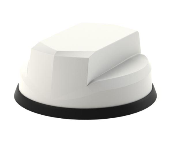 L[G]M[H]M-6-60 'Great White'