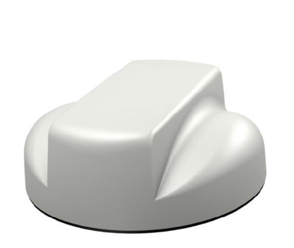 LP[G]MMFFR 'Great White'