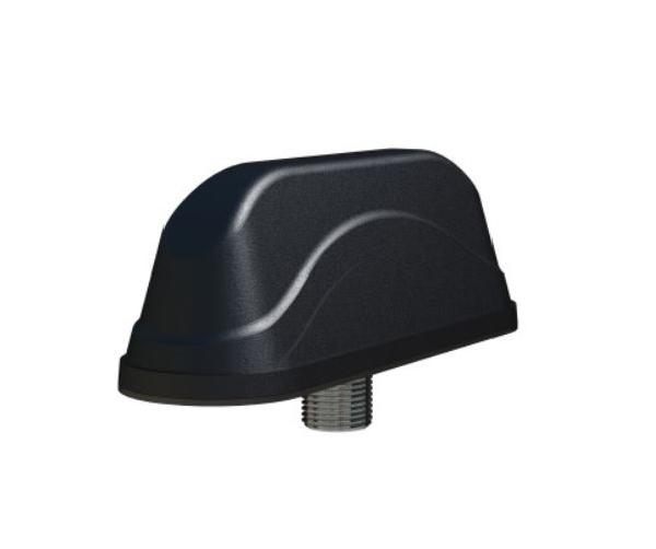 L[G]AM-7-27-[X]24-58